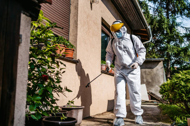 Best Affordable Exterminators  in Forestville, MD