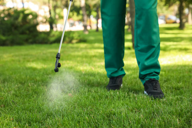 Best Wasp Removal Services  in Forestville, MD