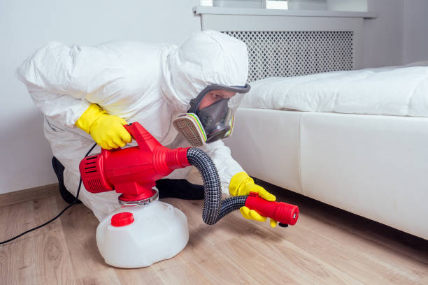 Best Cockroach Control Services  in Forestville, MD