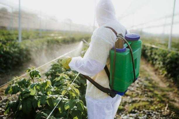 Best Pest Control Near Me  in Forestville, MD